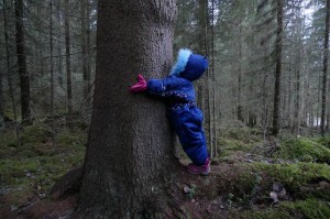 Pikku puun halaaja
